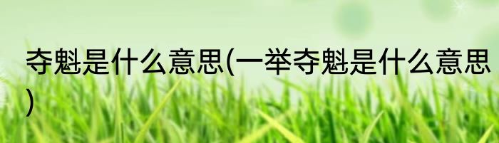 夺魁是什么意思(一举夺魁是什么意思)