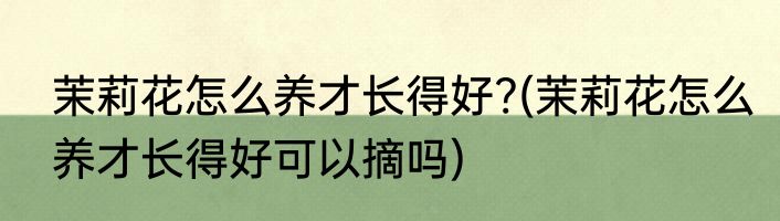 茉莉花怎么养才长得好?(茉莉花怎么养才长得好可以摘吗)