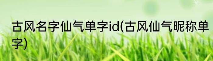 满天星怎么养才不会枯萎?(干花满天星怎么养才不会枯萎)