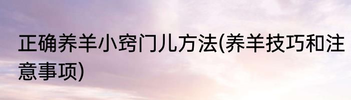 正确养羊小窍门儿方法(养羊技巧和注意事项)