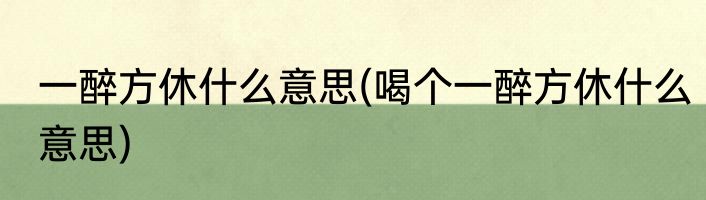 一醉方休什么意思(喝个一醉方休什么意思)