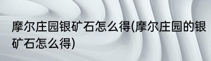 摩尔庄园银矿石怎么得(摩尔庄园的银矿石怎么得)