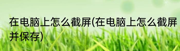 在电脑上怎么截屏(在电脑上怎么截屏并保存)