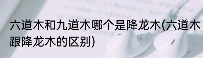 六道木和九道木哪个是降龙木(六道木跟降龙木的区别)