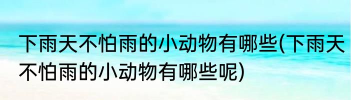 下雨天不怕雨的小动物有哪些(下雨天不怕雨的小动物有哪些呢)