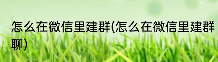 怎么在微信里建群(怎么在微信里建群聊)