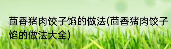 茴香猪肉饺子馅的做法(茴香猪肉饺子馅的做法大全)