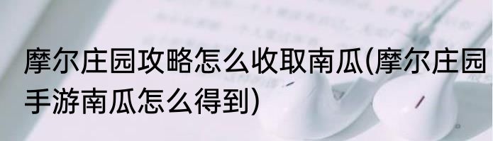 摩尔庄园攻略怎么收取南瓜(摩尔庄园手游南瓜怎么得到)