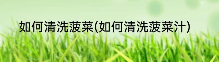 如何清洗菠菜(如何清洗菠菜汁)