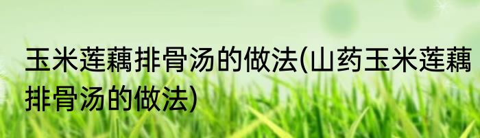 玉米莲藕排骨汤的做法(山药玉米莲藕排骨汤的做法)