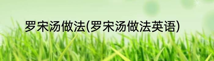 罗宋汤做法(罗宋汤做法英语)