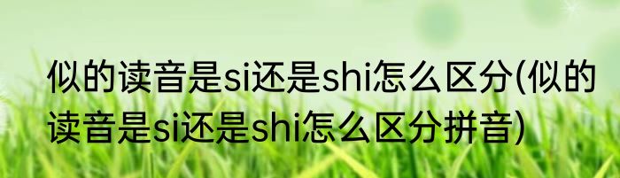 似的读音是si还是shi怎么区分(似的读音是si还是shi怎么区分拼音)