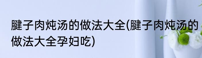 腱子肉炖汤的做法大全(腱子肉炖汤的做法大全孕妇吃)