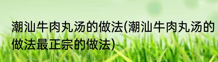 潮汕牛肉丸汤的做法(潮汕牛肉丸汤的做法最正宗的做法)