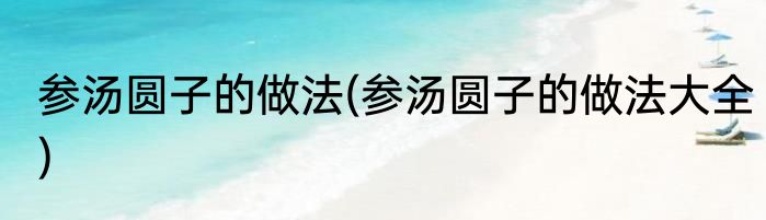 参汤圆子的做法(参汤圆子的做法大全)
