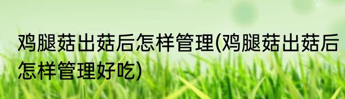 鸡腿菇出菇后怎样管理(鸡腿菇出菇后怎样管理好吃)