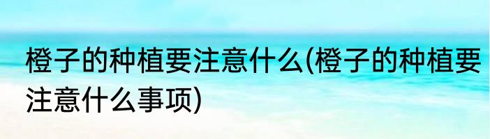 橙子的种植要注意什么(橙子的种植要注意什么事项)