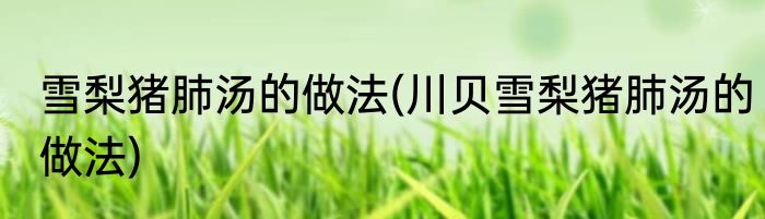 雪梨猪肺汤的做法(川贝雪梨猪肺汤的做法)