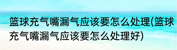 篮球充气嘴漏气应该要怎么处理(篮球充气嘴漏气应该要怎么处理好)