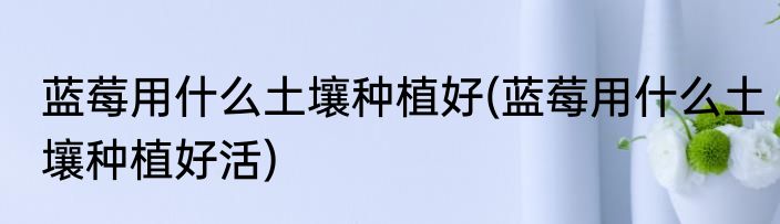 蓝莓用什么土壤种植好(蓝莓用什么土壤种植好活)