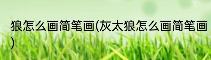 狼怎么画简笔画(灰太狼怎么画简笔画)