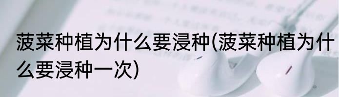 菠菜种植为什么要浸种(菠菜种植为什么要浸种一次)