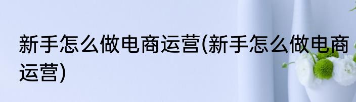 新手怎么做电商运营(新手怎么做电商运营)