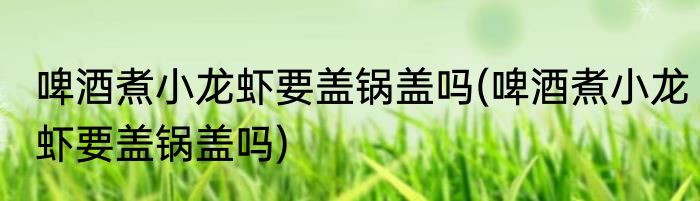 啤酒煮小龙虾要盖锅盖吗(啤酒煮小龙虾要盖锅盖吗)
