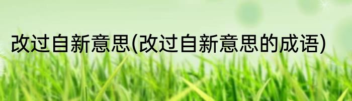 改过自新意思(改过自新意思的成语)