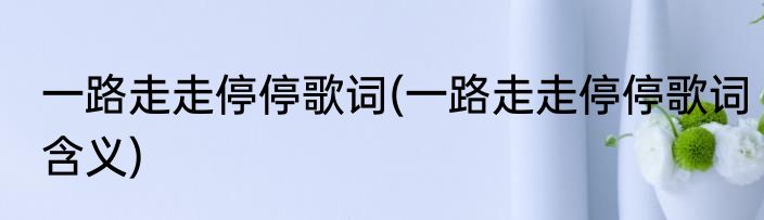 一路走走停停歌词(一路走走停停歌词含义)