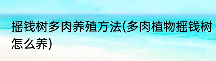 摇钱树多肉养殖方法(多肉植物摇钱树怎么养)