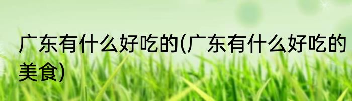 广东有什么好吃的(广东有什么好吃的美食)