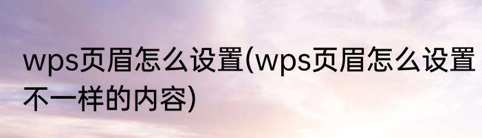 wps页眉怎么设置(wps页眉怎么设置不一样的内容)
