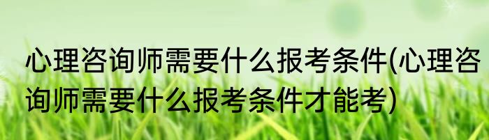 心理咨询师需要什么报考条件(心理咨询师需要什么报考条件才能考)
