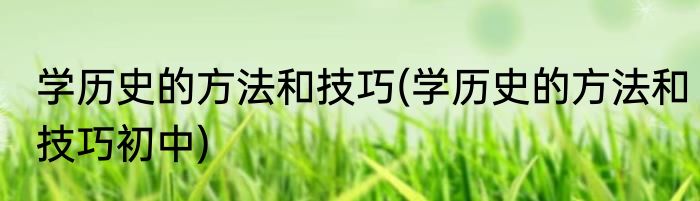 学历史的方法和技巧(学历史的方法和技巧初中)