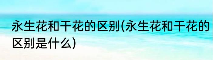 永生花和干花的区别(永生花和干花的区别是什么)