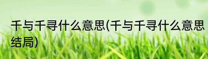 千与千寻什么意思(千与千寻什么意思结局)