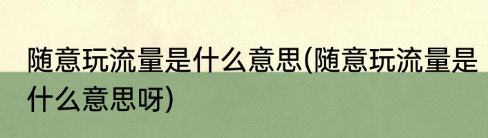 随意玩流量是什么意思(随意玩流量是什么意思呀)