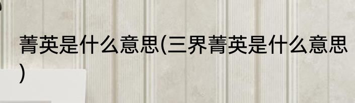 菁英是什么意思(三界菁英是什么意思)