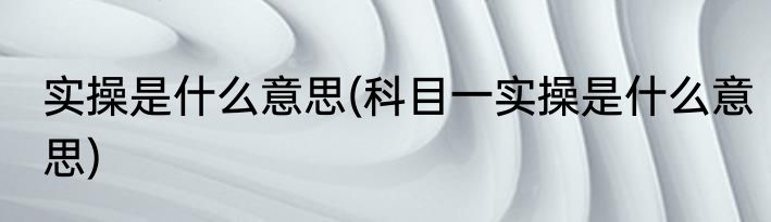 实操是什么意思(科目一实操是什么意思)