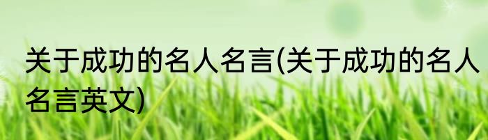 关于成功的名人名言(关于成功的名人名言英文)