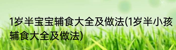 1岁半宝宝辅食大全及做法(1岁半小孩辅食大全及做法)
