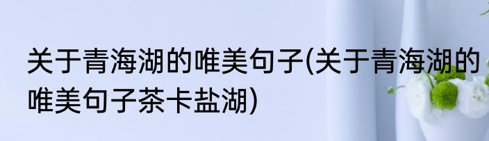 关于青海湖的唯美句子(关于青海湖的唯美句子茶卡盐湖)