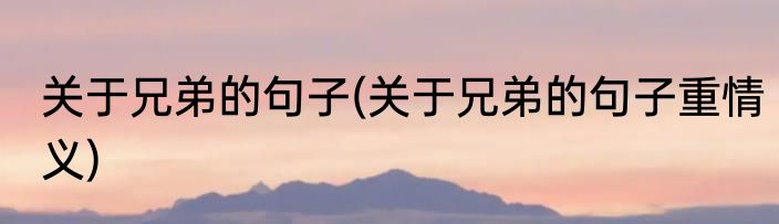 关于兄弟的句子(关于兄弟的句子重情义)