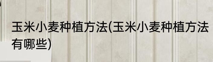 玉米小麦种植方法(玉米小麦种植方法有哪些)