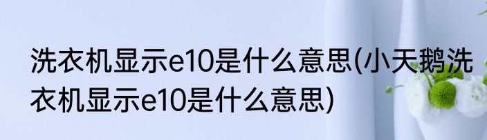 洗衣机显示e10是什么意思(小天鹅洗衣机显示e10是什么意思)