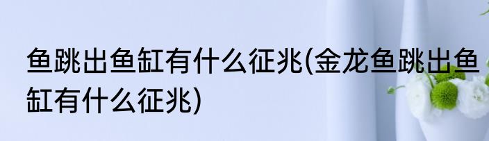 鱼跳出鱼缸有什么征兆(金龙鱼跳出鱼缸有什么征兆)