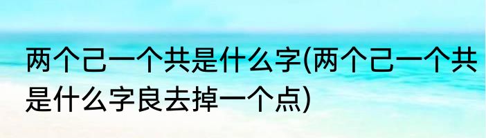 两个己一个共是什么字(两个己一个共是什么字良去掉一个点)