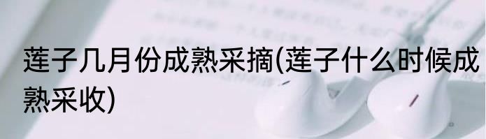 莲子几月份成熟采摘(莲子什么时候成熟采收)