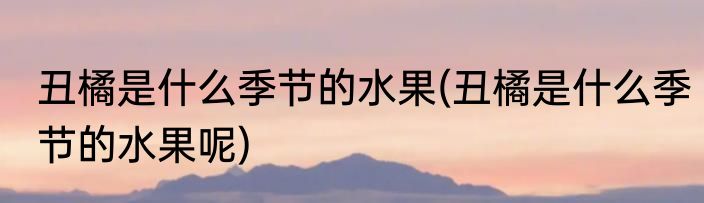 背板什么意思(打游戏背板什么意思)